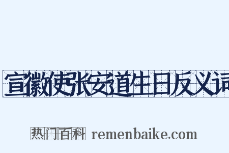 宣徽使张安道生日反义词是什么意思的图片